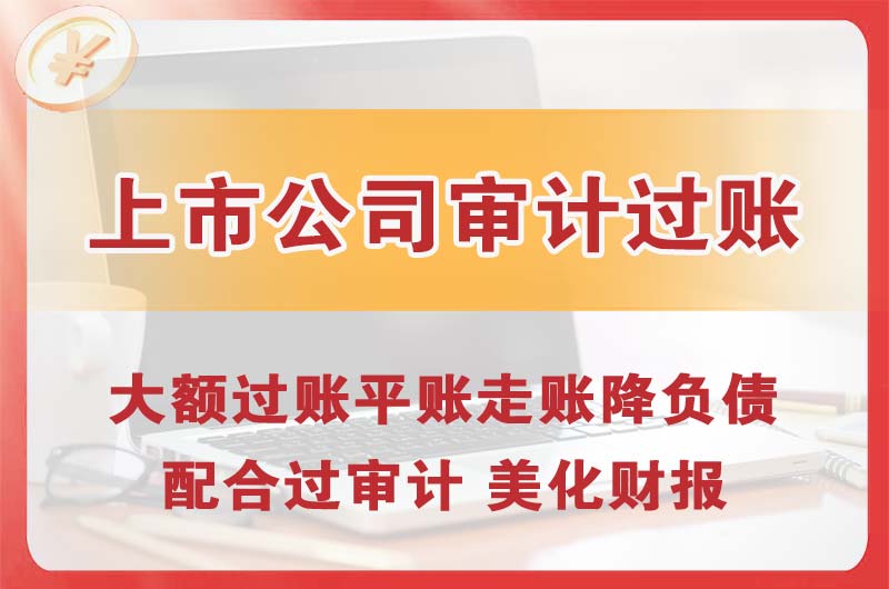 徐汇上市公司审计过账